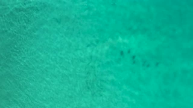 LOS CABOS MEXICO-2020: They Will Be Fish Or Perhaps Jellyfish Swimming In A