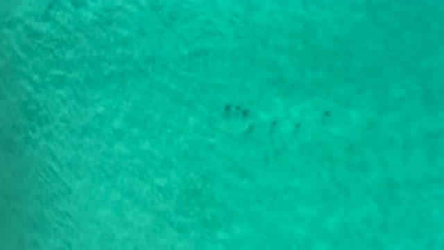 LOS CABOS MEXICO-2020: Bottom Of The Sea With Clear Water