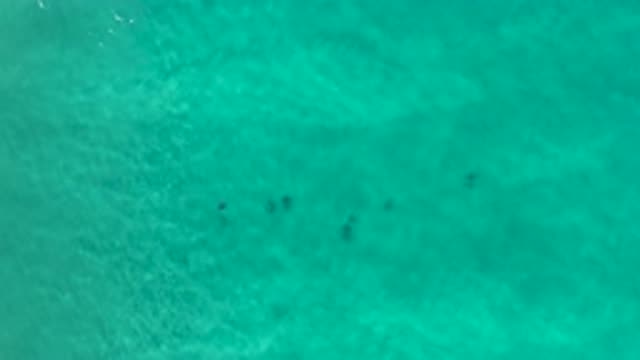 LOS CABOS MEXICO-2020: Crystal Clear Emerald Green Sea Waters Lightly Marked By