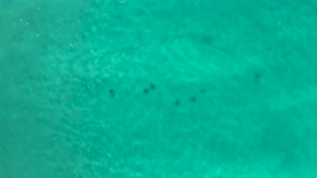 LOS CABOS MEXICO-2020: Gentle Crystal Clear Water Flow