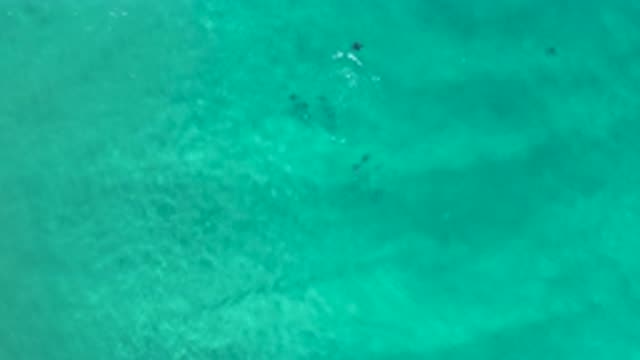 LOS CABOS MEXICO-2020: Clear And Pollution Free Coastal Scene