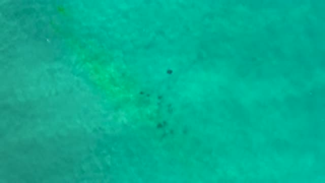 LOS CABOS MEXICO-2020: Clear Blue Tropical Ocean With Small Waves Filled With