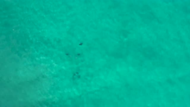 LOS CABOS MEXICO-2020: Drone Shot Of The Beautiful Clean And Clear Ocean Waves