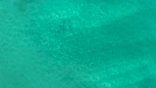 LOS CABOS MEXICO-2020: Deep In The Dark Green Sea Waters Touching The Sand At