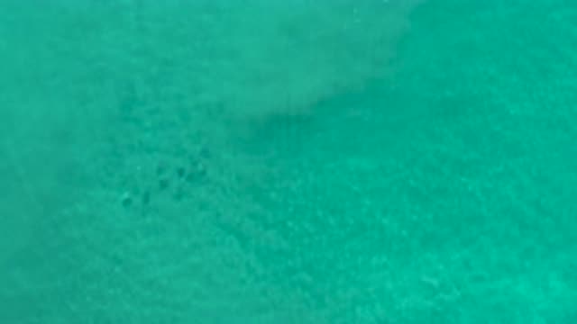 LOS CABOS MEXICO-2020: Sky View Shot Of The Clean And Clear Green Ocean Waves