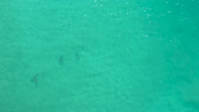 LOS CABOS MEXICO-2020: Beautiful Aerial Footage Of A Pristine Turquoise Stretch