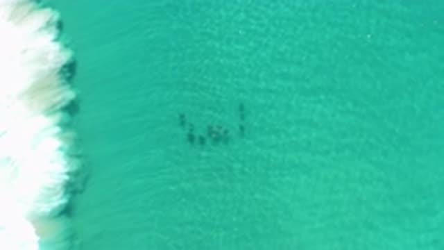 LOS CABOS MEXICO-2020: Aerial Footage Of A Beautiful Waterfall With Cascading