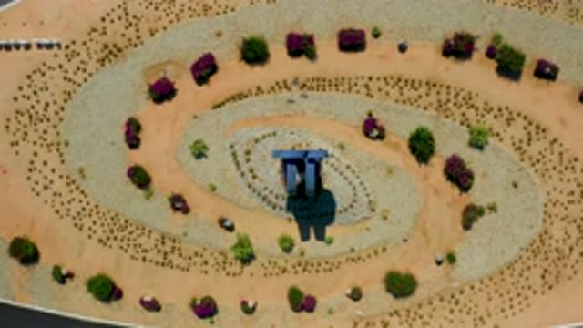 LOS CABOS MEXICO-2020: A Desert Garden