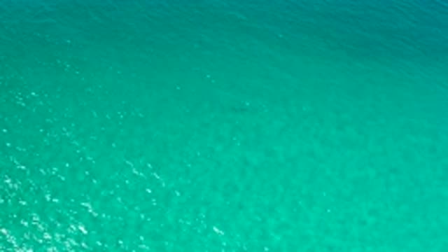 LOS CABOS MEXICO-2020: An Overhead Angle Of A Sparkling Teal Sandbar Or