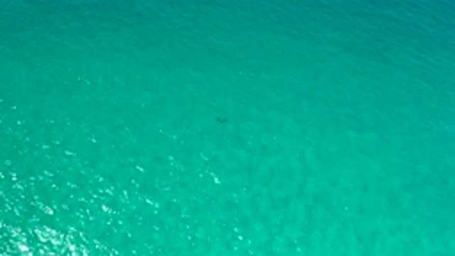 LOS CABOS MEXICO-2020: Aerial Peaceful And Relaxing Footage Of Clean And Bright