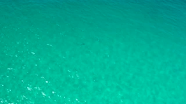 LOS CABOS MEXICO-2020: Clear Water Calm Waves Endless Sea No Life Animal Free