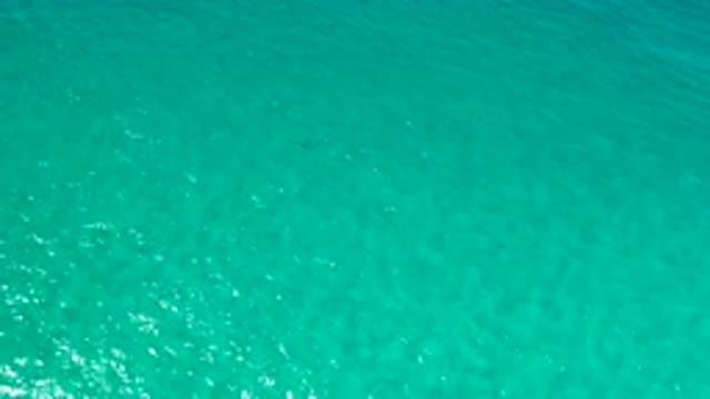 LOS CABOS MEXICO-2020: The Nice View Of The Silent Blue Sea Without Waves