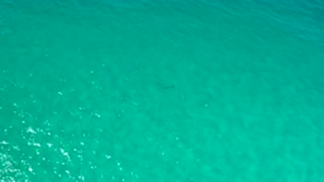 LOS CABOS MEXICO-2020: Beautiful And Calm Ocean