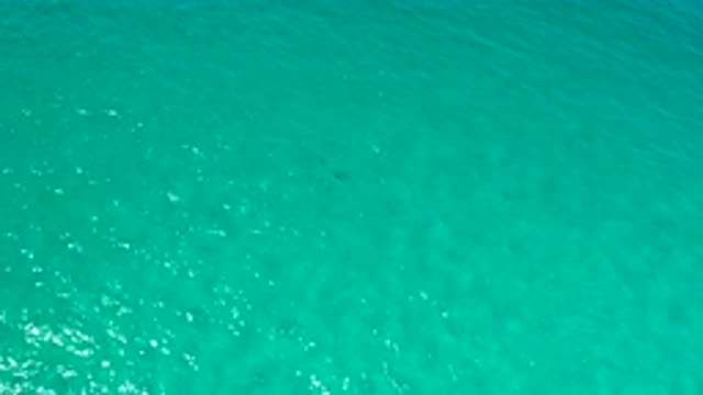 LOS CABOS MEXICO-2020: Clear Turquoise Water With Small Waves And Small Fish