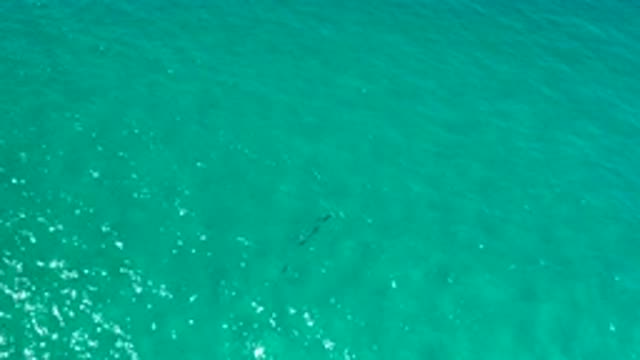 LOS CABOS MEXICO-2020: Overview Of Ocean Water Looking Down From Above With Sea
