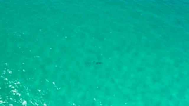 LOS CABOS MEXICO-2020: Movement Of Greenish Waters