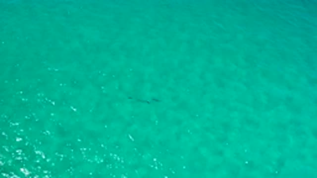 LOS CABOS MEXICO-2020: Reflective Clear Water