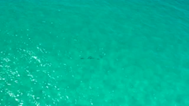 LOS CABOS MEXICO-2020: Static Blue Water Creating Soft Ripples And Some