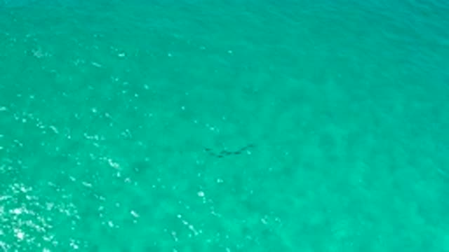 LOS CABOS MEXICO-2020: Green And Pure Water Reflecting Sunlight
