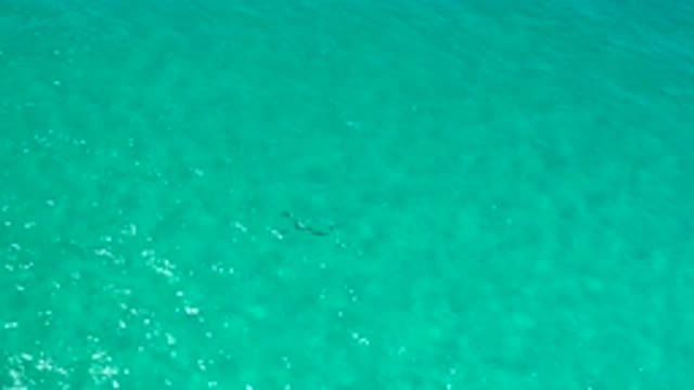 LOS CABOS MEXICO-2020: Clear Teal Tranquil Water Ripples Gently From Wind In A
