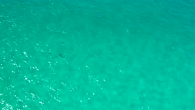 LOS CABOS MEXICO-2020: Waterway Breezily Blowing in the Wind