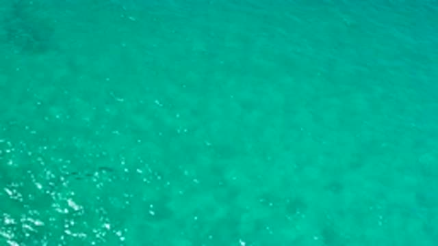 LOS CABOS MEXICO-2020: A Water Body Showing A Cluster Of Fish