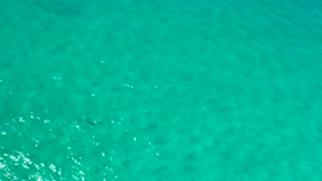 LOS CABOS MEXICO-2020: Clear Water Traveling East For The Summer To See My Feet