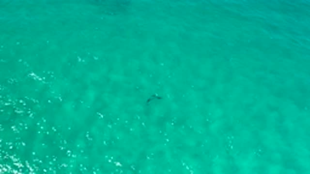 LOS CABOS MEXICO-2020: Drone Shot View Of A Reflected Sunlight On The Clean And
