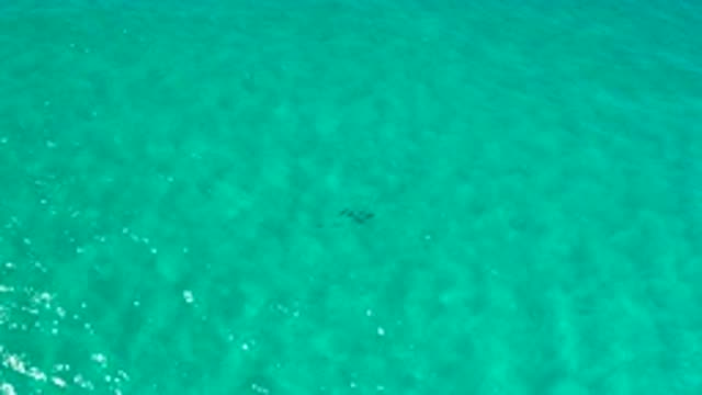 LOS CABOS MEXICO-2020: The Depth of the Sea and Its Soft and Gentle Waves