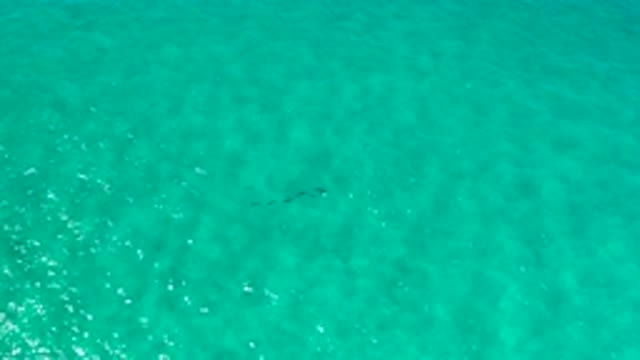 LOS CABOS MEXICO-2020: Green Water with Ripples On A Sunny Day
