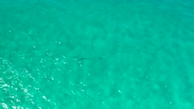 LOS CABOS MEXICO-2020: Very Large Body Of Water Rippling In The Light Of The Sun