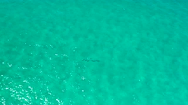 LOS CABOS MEXICO-2020: Green Ocean During A Warm Day