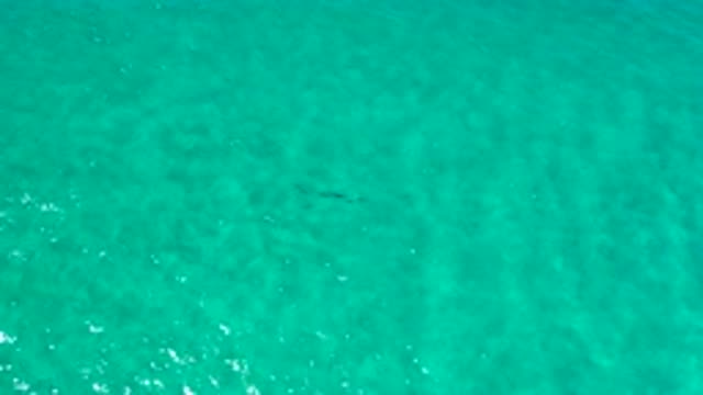 LOS CABOS MEXICO-2020: Aerial Footage Of Greenish Blue Water With A Slight Ripple