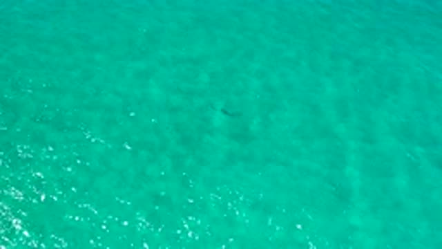 LOS CABOS MEXICO-2020: Aerial View Of Blue Green Clear Ocean Water With Small Waves
