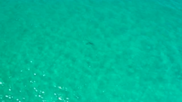 LOS CABOS MEXICO-2020: Aerial Shot Of A Clean Clear Ocean Waves