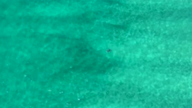 LOS CABOS MEXICO-2020: Sky View Of The Beautiful Clean And Clear Ocean Waves