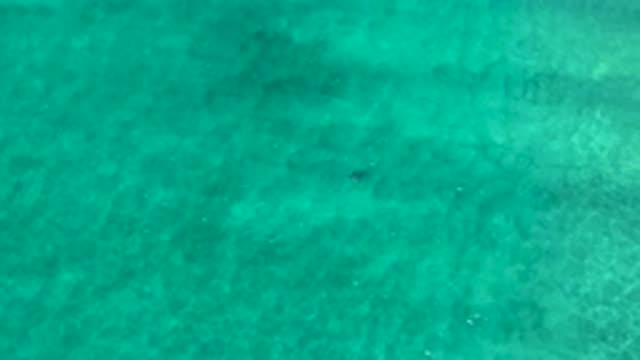 LOS CABOS MEXICO-2020: The Cool Waves Gently Move Back And Forth Making The