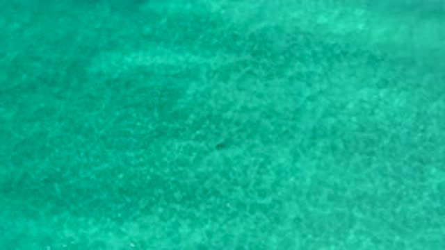 LOS CABOS MEXICO-2020: Waves In A Blue Calm Pacific Ocean Reflecting The Light