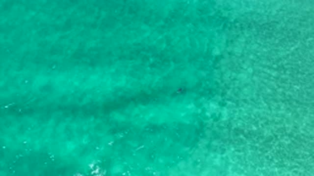 LOS CABOS MEXICO-2020: Ocean Waves In Clear Water