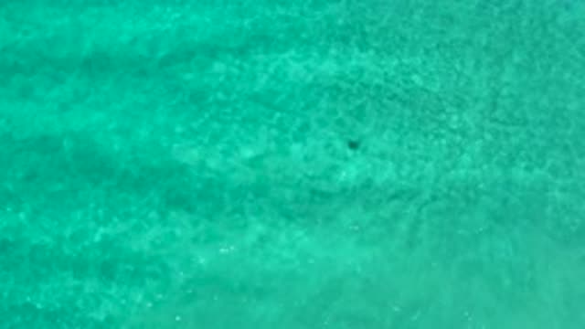 LOS CABOS MEXICO-2020: An Object Slowly Floats On The Ocean Floor Pushed By