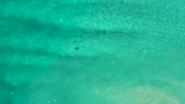 LOS CABOS MEXICO-2020: Object Floating In A Body Of Water