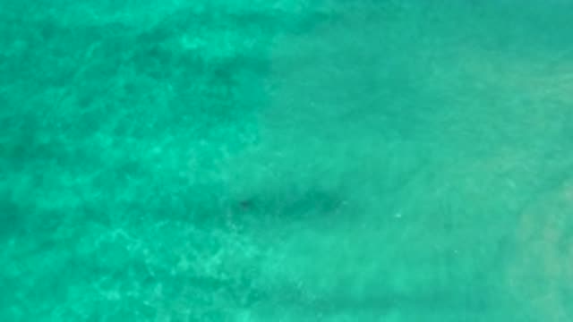 LOS CABOS MEXICO-2020: Ocean Water Moving Across The Sea Floor