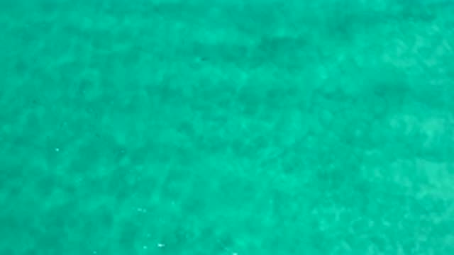 LOS CABOS MEXICO-2020: Unseen Cute And Tiny Small Fishes Swimming Under The