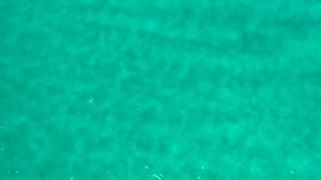 LOS CABOS MEXICO-2020: Amazing Green Water Sea