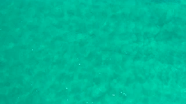 LOS CABOS MEXICO-2020: A Place With Crystal Clear Waters To Spend The Day On A Boat