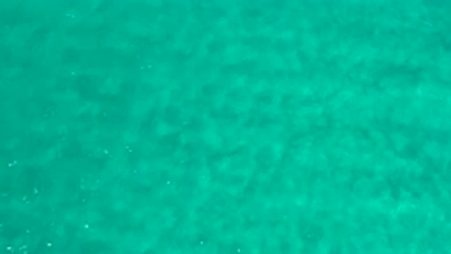 LOS CABOS MEXICO-2020: A Line Of Fish Swim Through Blue Water With Waves