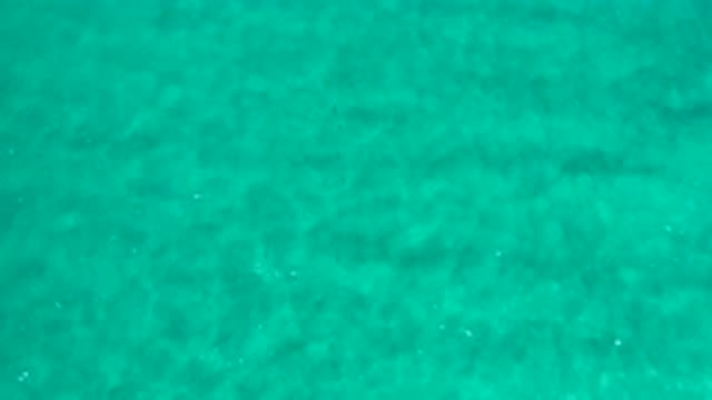 LOS CABOS MEXICO-2020: A Clean Flowing Water Body