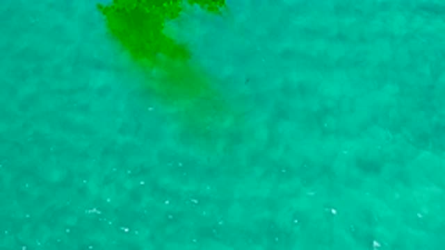 LOS CABOS MEXICO-2020: Open Water Survival Do You Have What It Takes