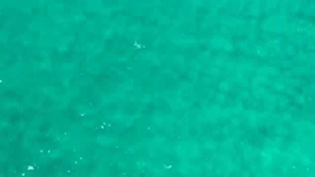 LOS CABOS MEXICO-2020: Water Moving Ripples Green Clear Steady Gentle Easy