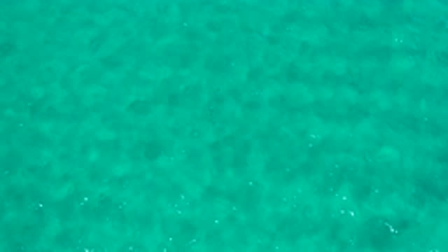 LOS CABOS MEXICO-2020: Blue Waters Of An Extensive Ocean Illuminated By The Hot Sun